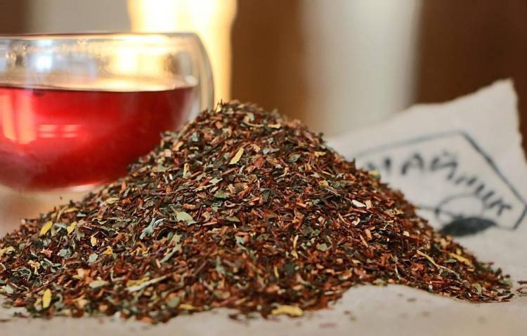 Чай ройбуш – напиток с незабываемым вкусом и ароматом