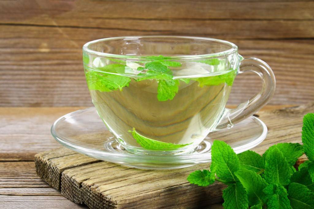 Зеленый чай с мятой: польза и вред, рецепты заваривания, свойства