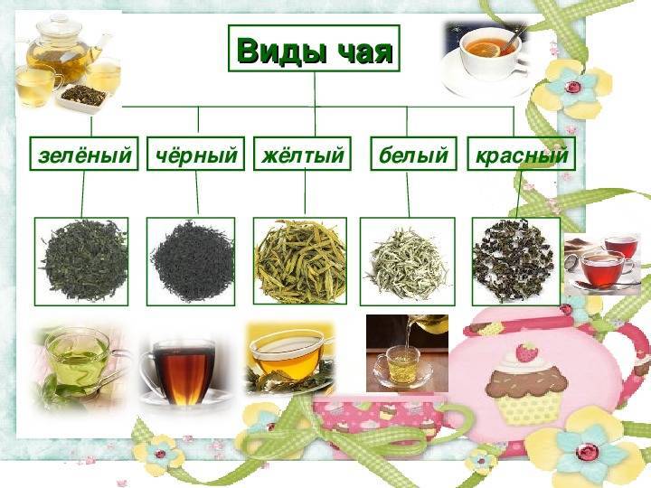 5 главных видов китайского чая пуэр (+как выбрать)