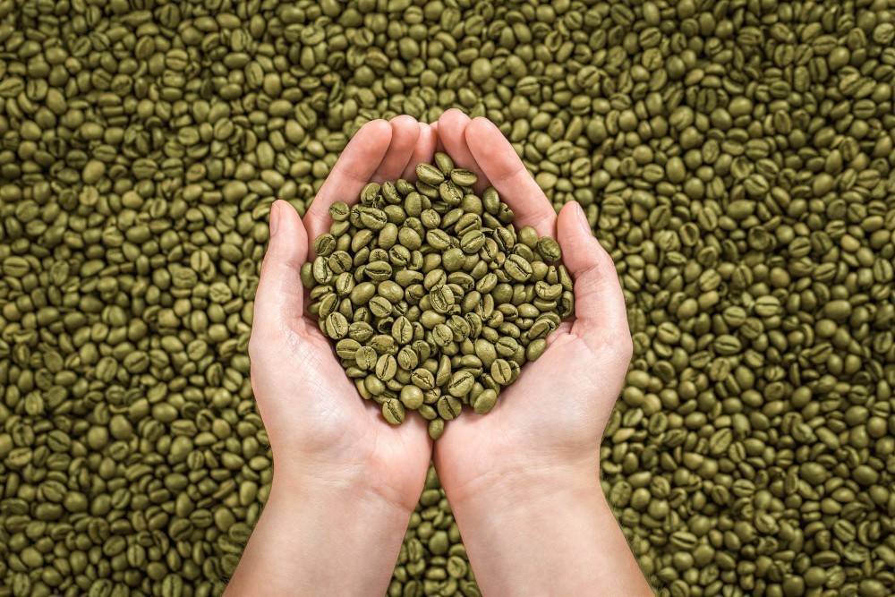 Как приготовить напиток из зеленого кофе в зернах