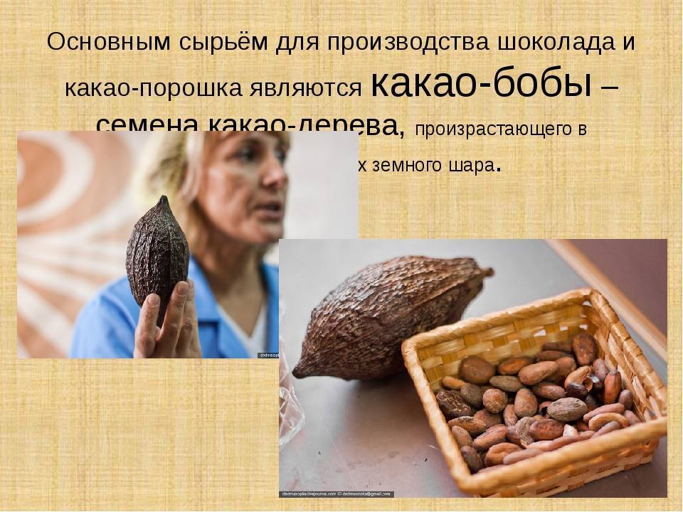 Как варить какао правильно - 7 рецептов и оригинальные методы варки