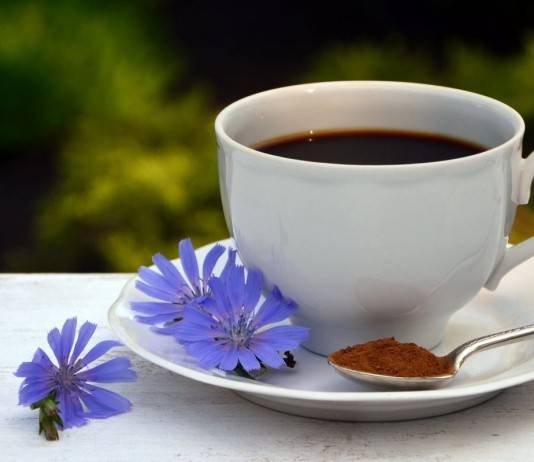Цикорий и кофе: что лучше, польза и вред