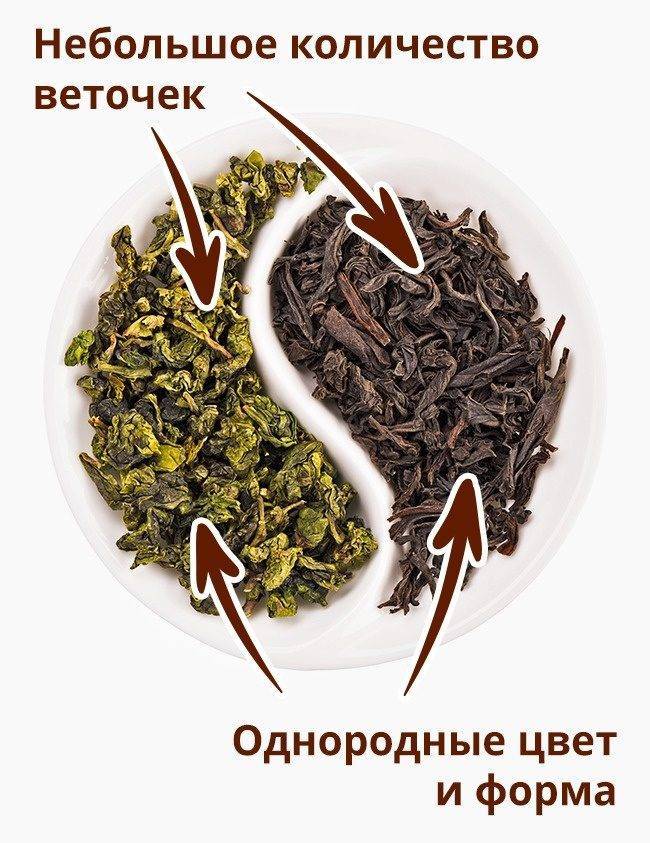 Самый лучший зеленый чай для похудения, в пакетиках и листовой