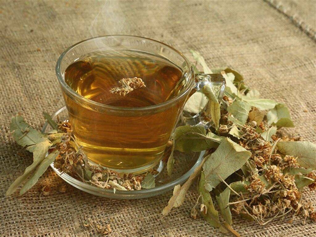 Чай от кашля, топ самых эффективных и доступных рецептов