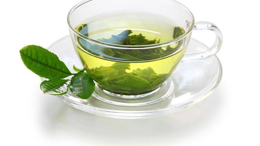 Лечебные свойства чая с хризантемой, полезные рецепты приготовления и противопоказания к применению