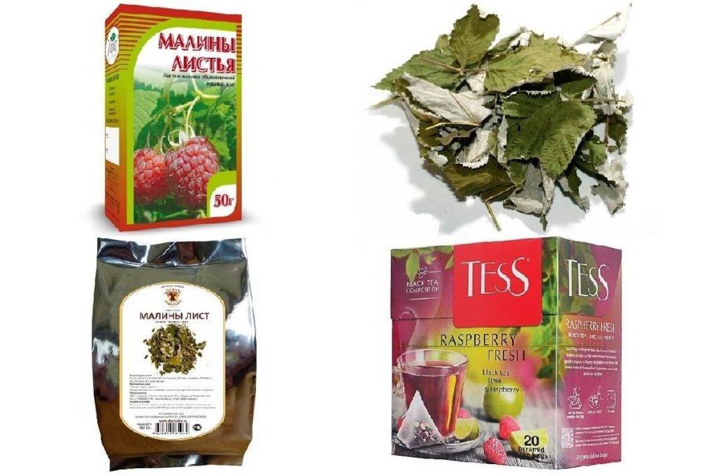 Чем полезен чай из листьев малины?