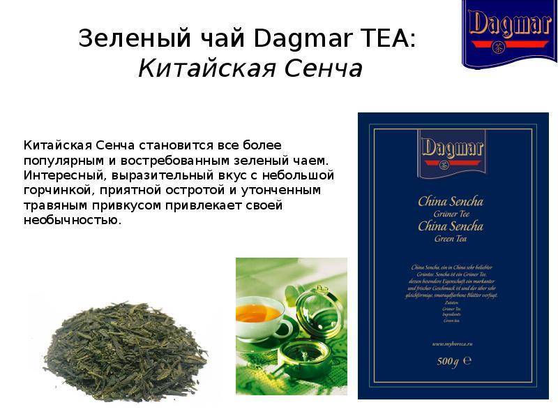 Сенча чай: полезные свойства :: syl.ru
