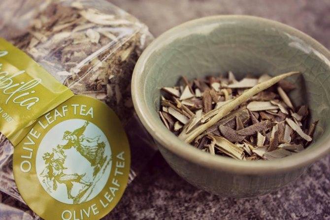 Оливковый чай из турции польза и вред - основные характеристики