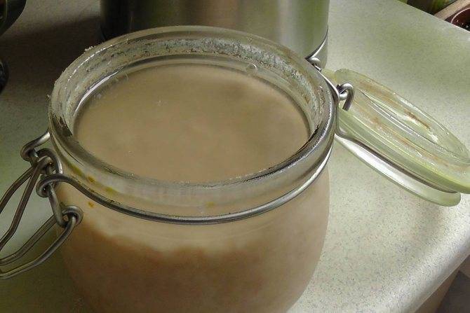 Квас из ржаной муки в домашних условиях — 5 пошаговых рецептов приготовления