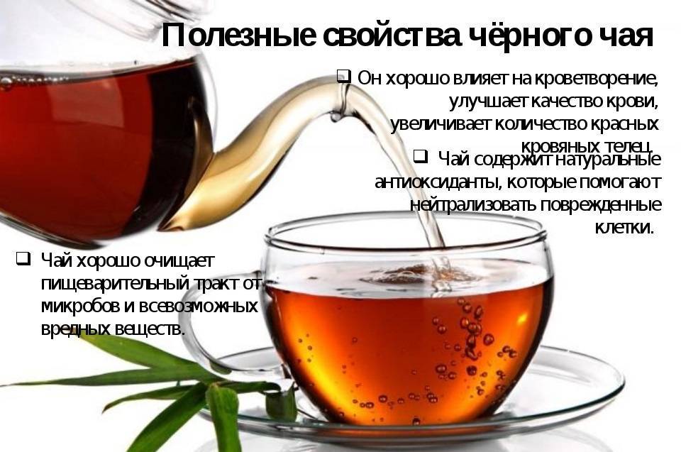 Черный чай - полезные свойства, польза и вред напитка, противопоказания | здорова и красива