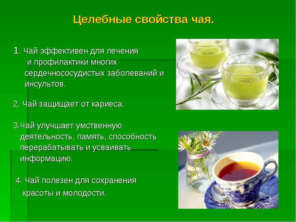 Чай габа: способ получения, полезные свойства, условия хранения, как заваривать