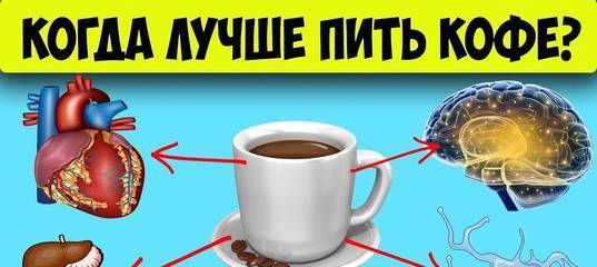 Выпить кофе и остаться в живых? сколько чашек можно пить в день | rusbase