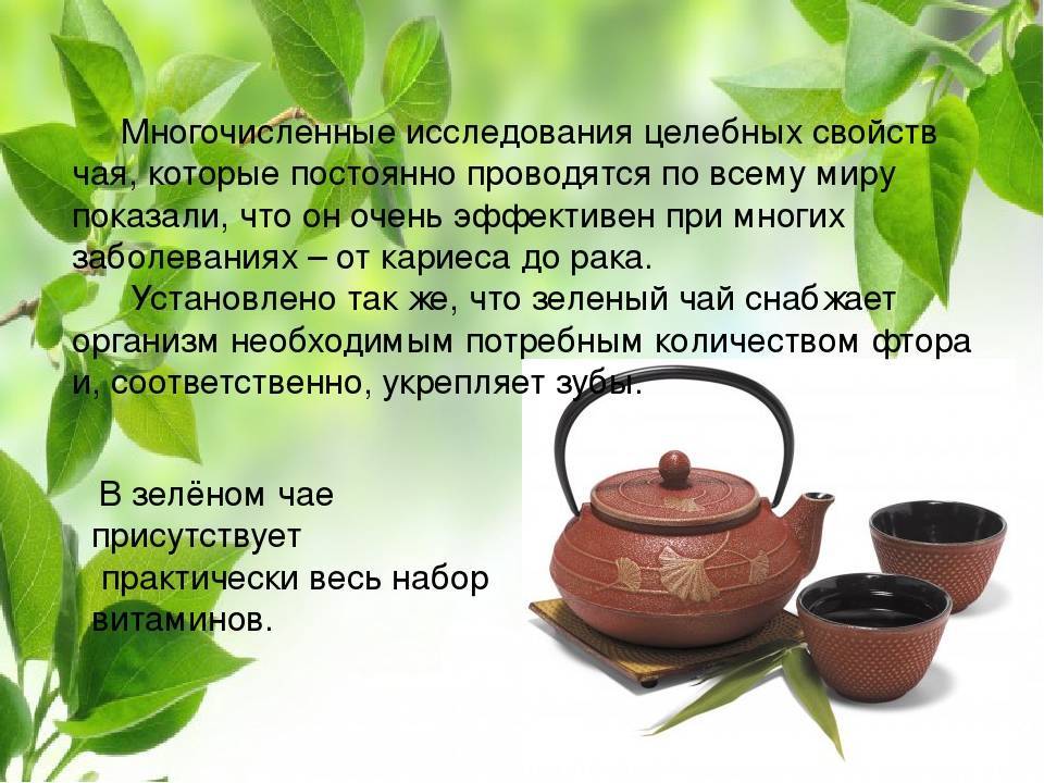 Черный чай: состав, польза и вред для здоровья