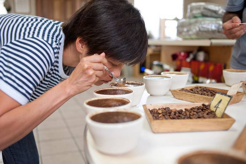 Каппинг (профессиональная дегустация кофе) – методика оценки