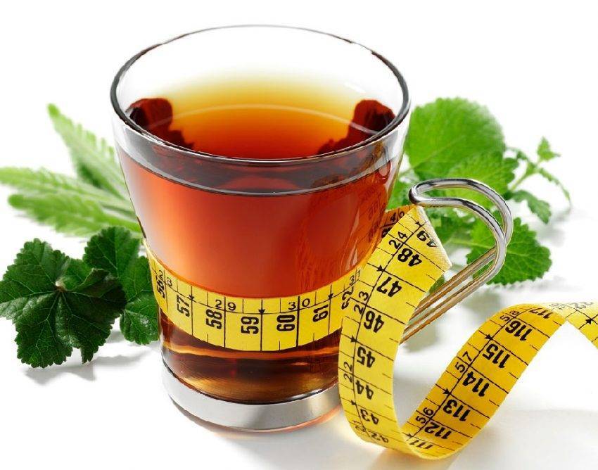 Чай «канкура» для похудения