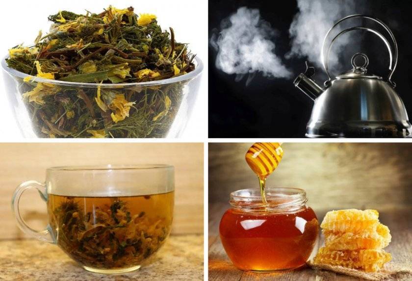 Чай из листьев земляники полезные свойства