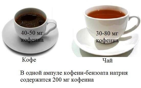 Кофеин в чае. в каком чае больше кофеина?