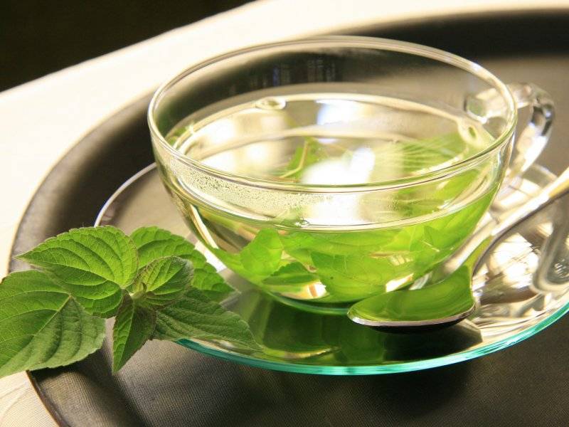 Чай с мелиссой: польза и вред, свойства и противопоказания, как заваривать