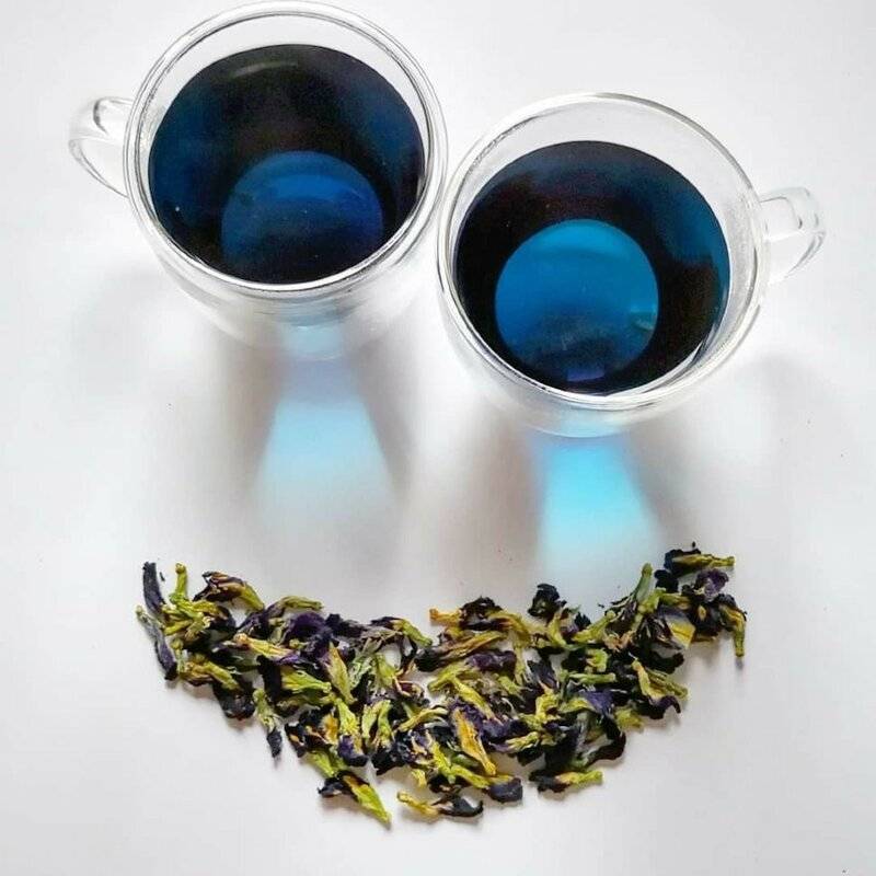 Тайский синий чай нам док анчан: польза и как выбрать