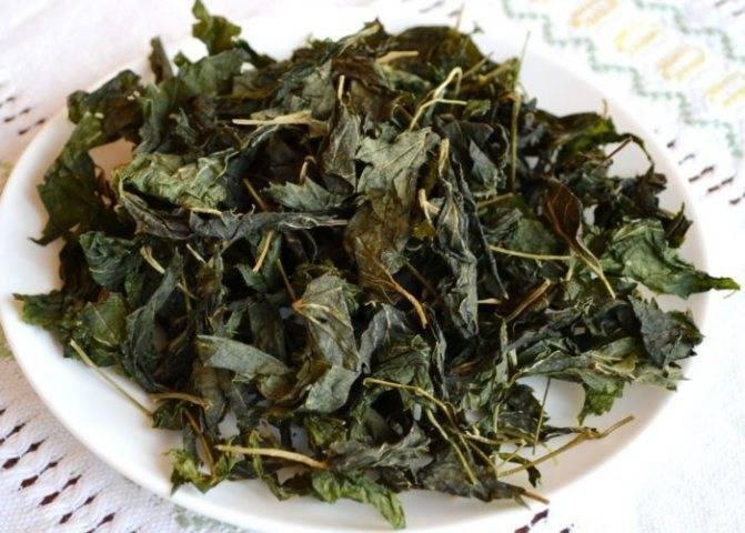 Чай из листьев малины: ферментация, когда собирать, как сушить, заготовка — как сушить листья малины для чая