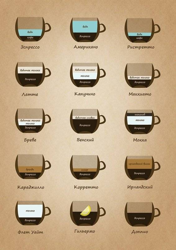 Виды кофе по сортам и типам приготовления