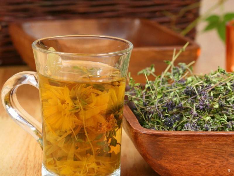 Травяной чай: виды, рецепты, применение в народной медицине