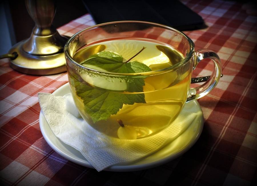 Зеленый чай с бузиной из листьев, цветков: польза и вред