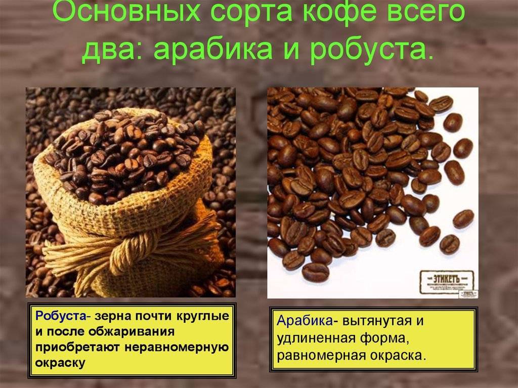 Можно ли есть кофейные зерна? польза и вред