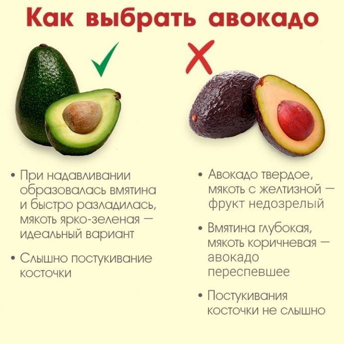Топ 19 полезных свойств авокадо (+9 рецептов). он вам не овощ!