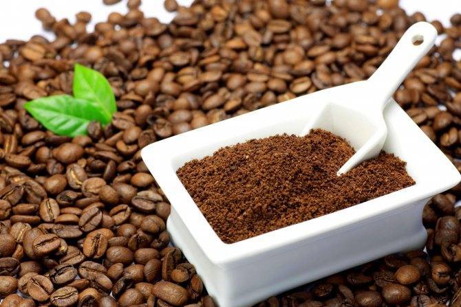 Можно ли пить просроченный кофе: последствия употребления натурального, молотого в зернах, и растворимого с истекшим сроком годности. как еще его использовать?