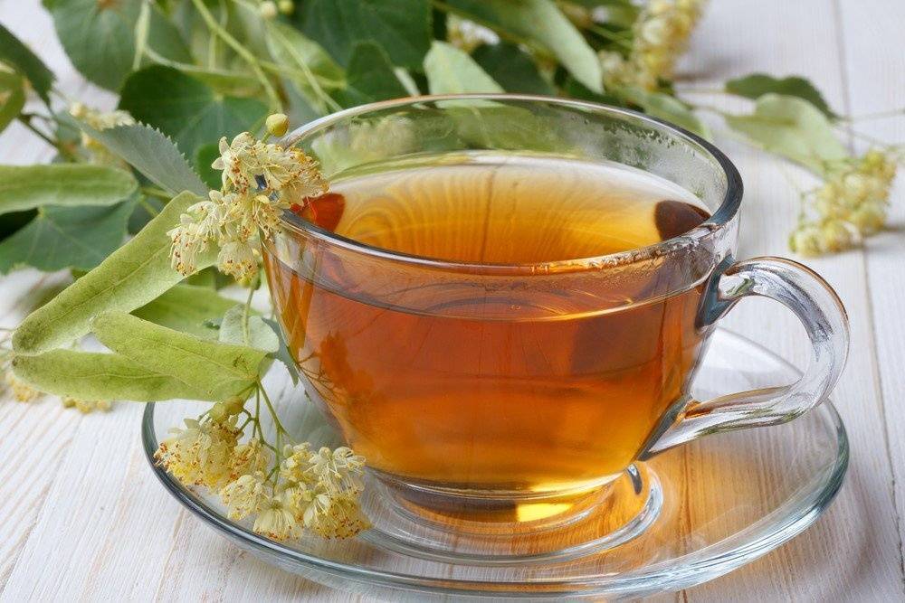 “липовый цвет” — для чего нужно пить липовый чай?