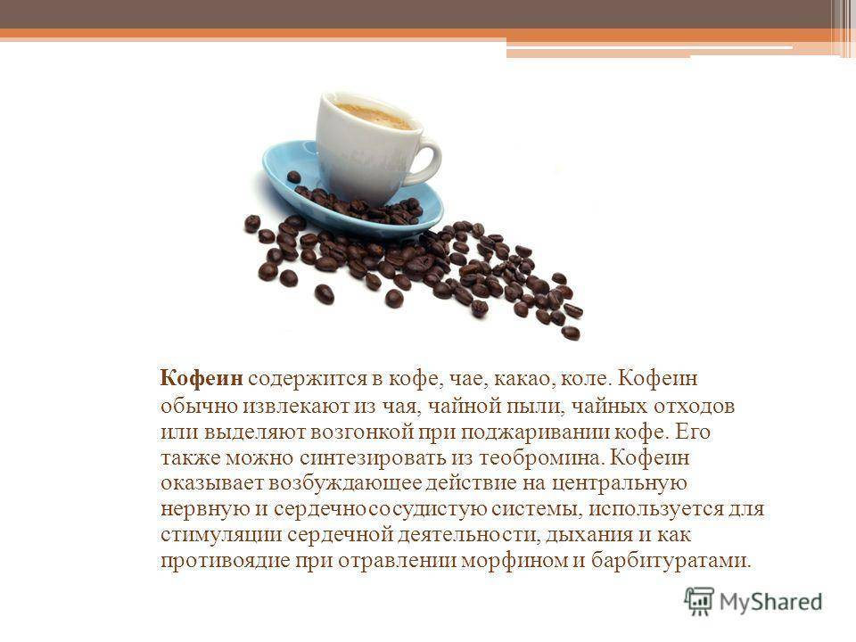 Есть ли в какао кофеин: процент содержания и характеристики