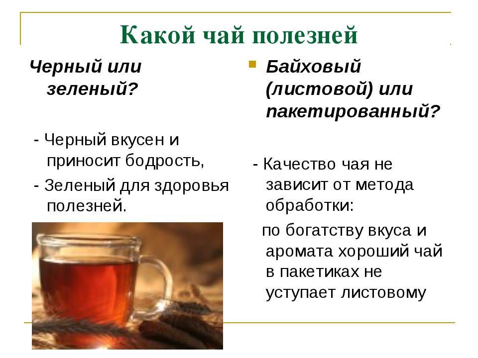 Зеленый чай: польза и вред для мужчин, особенности его заваривания
