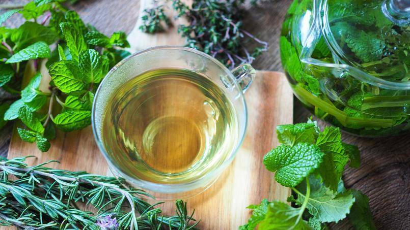 Мочегонный чай от отеков: 9 рецептов приготовления, травяные сборы из аптеки