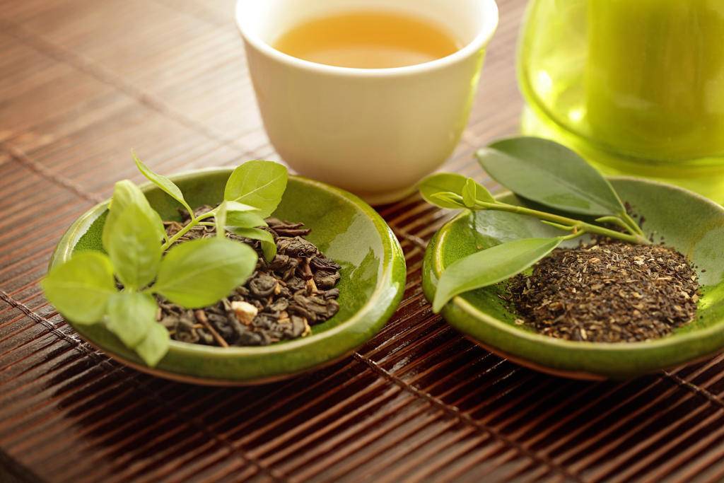 Роль зеленого чая в борьбе с фотостарением, в стрессоустойчивости, нейропротекции и аутофагии