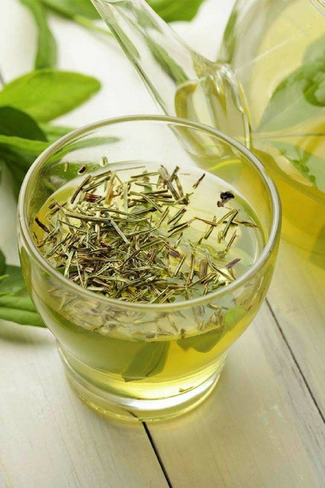 Чем полезен чай из листьев малины: лучшие рецепты, противопоказания