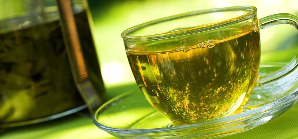 Мелисса чай полезные свойства и противопоказания • siniy-chay.ru