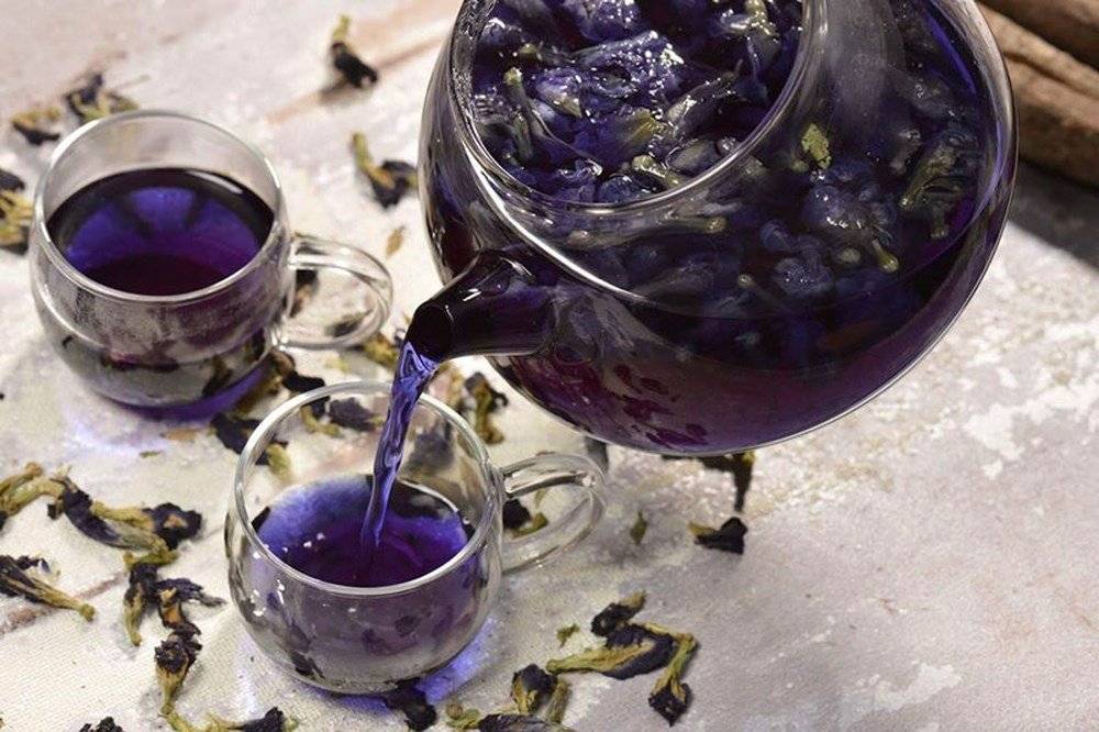 Синий чай из тайланда (анчан): свойства, отзывы, заваривание