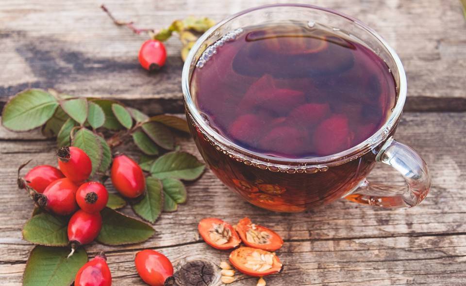 6 рецептов вкусного чая с калиной и его полезные свойства