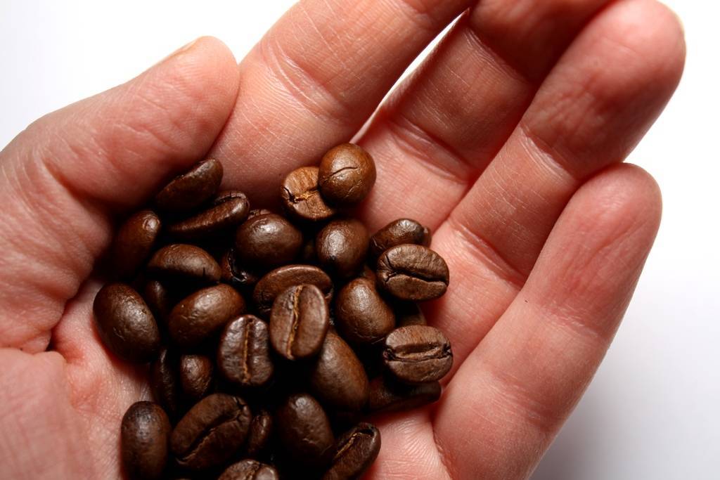 Что такое робуста в составе натурального кофе?