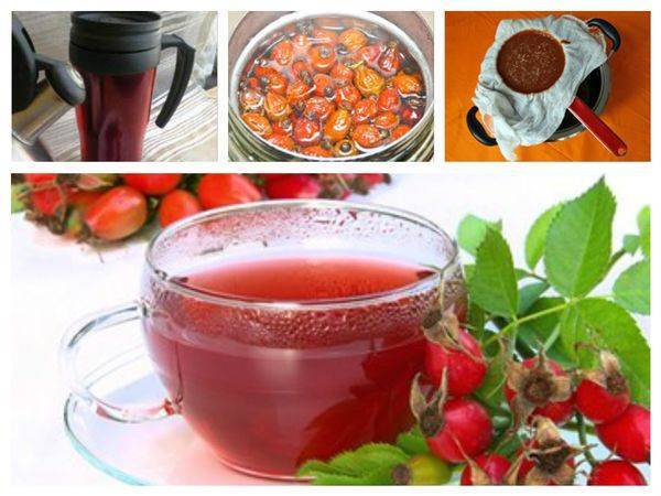 Чай из шиповника – иммуностимулирующий общеукрепляющий напиток. чай из шиповника полезные свойства, возможный вред