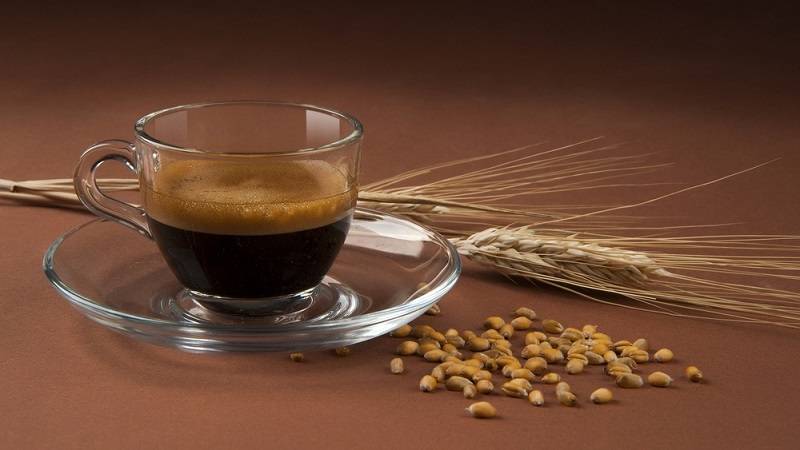 Ячменный кофе: польза и вред кофейного напитка
