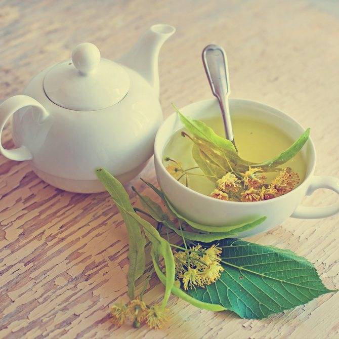 Липовый чай: польза и вред