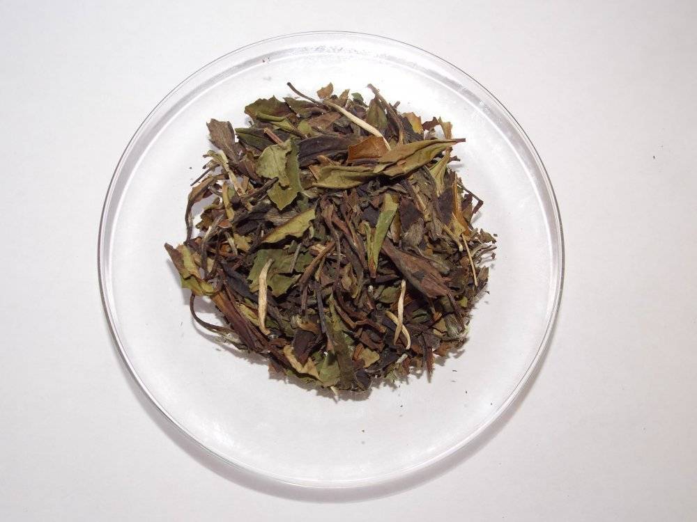 Бай му дань или белый пион: секреты популярного китайского чая