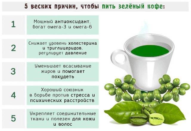 Зеленый кофе: описание, состав и свойства, действие, правила приготовления и приема, польза и вред