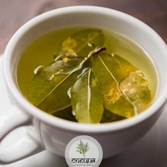 Чай из листьев папайи: полезные свойства, вред, приготовление напитка