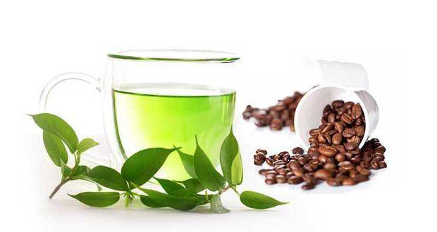 Чай без кофеина польза и вред, сорта чая с низким содержанием кофеина