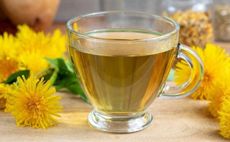 Как заварить чай из одуванчиков: цветков, листьев, корней. чем полезен одуванчиковый чай и как правильно его пить