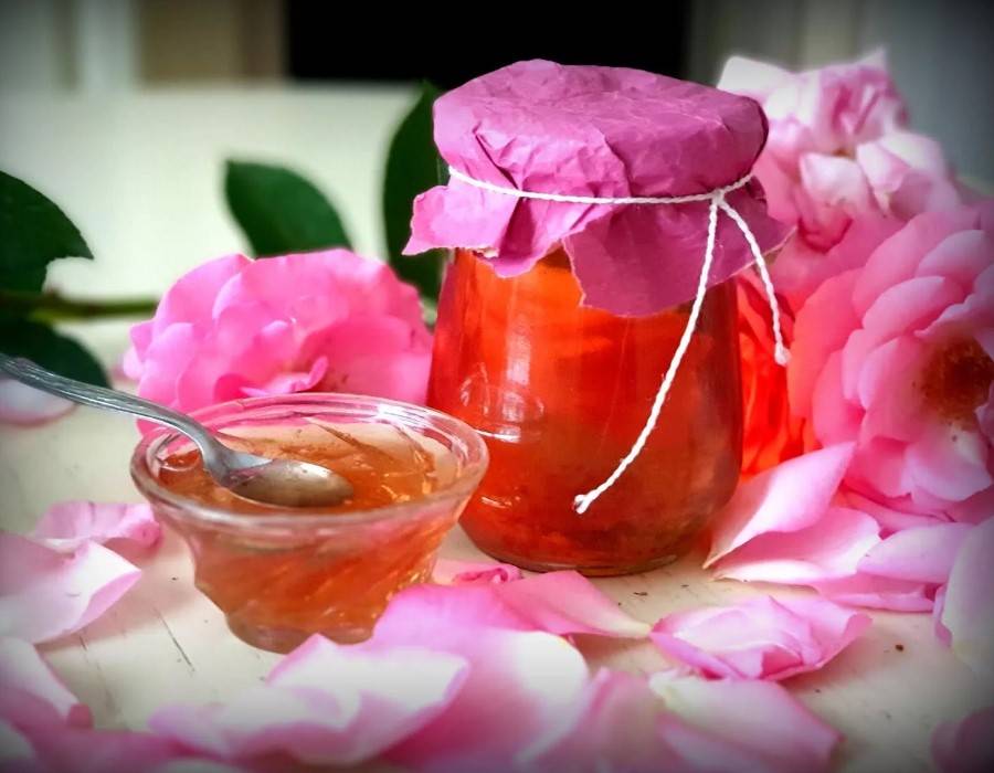 Отвар из лепестков роз: рецепт приготовления, полезные и лечебные свойства