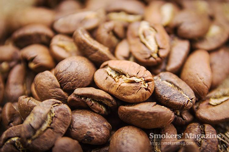 Кофе марагоджип: территория выращивания и вкусовые особенности